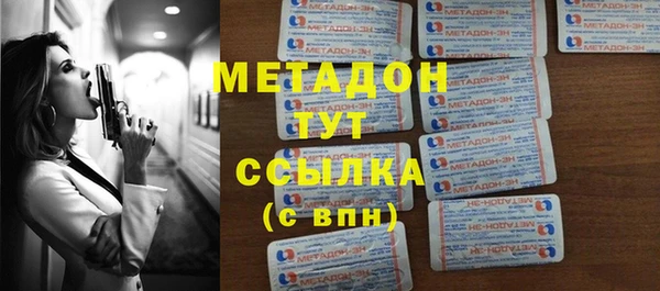 стаф Алзамай