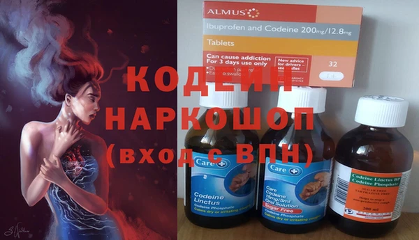 ешки Алексин