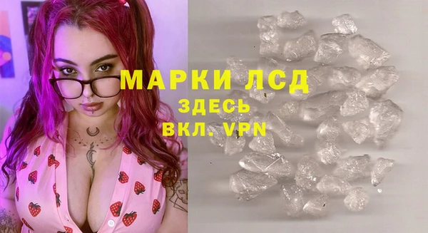 стаф Алзамай