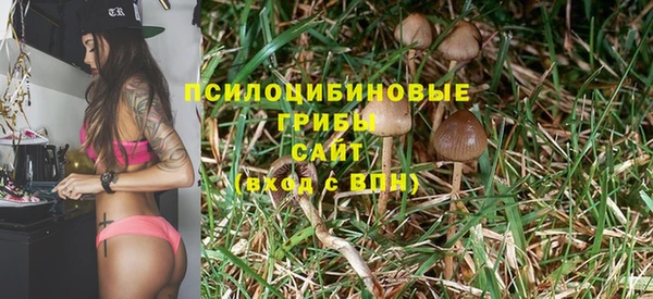 ешки Алексин