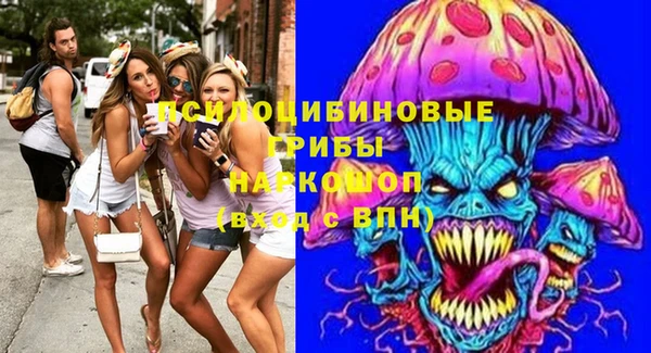 стаф Алзамай