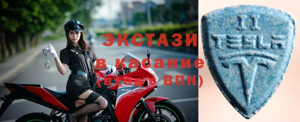 стаф Алзамай