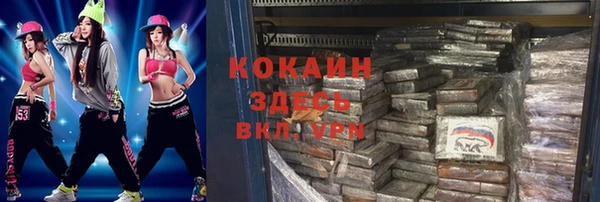 ешки Алексин