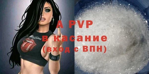 стаф Алзамай