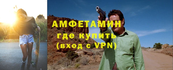 стаф Алзамай