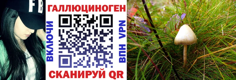 Псилоцибиновые грибы мухоморы  Свирск 